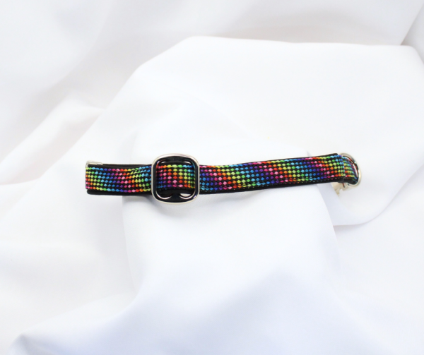 Halsband mit Metallschnalle, 2 cm